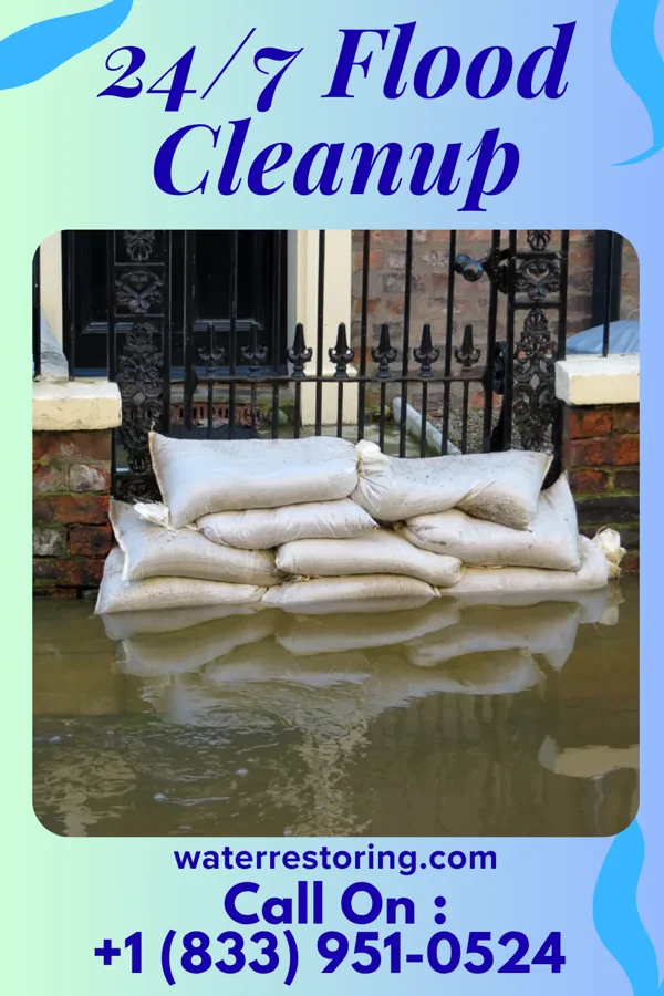 24/7 Flood Cleanup in Herman, MN