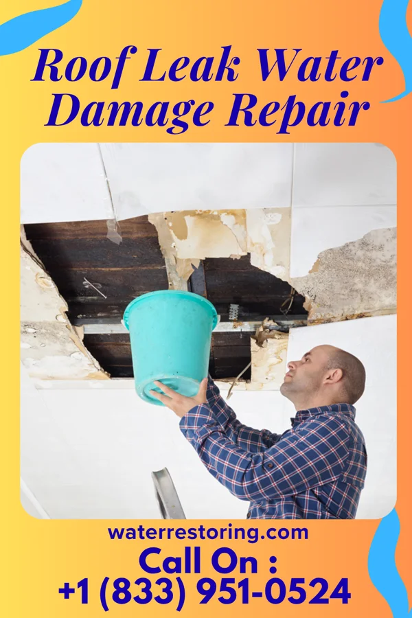 Roof Leak Water Damage Repair in Herman, MN