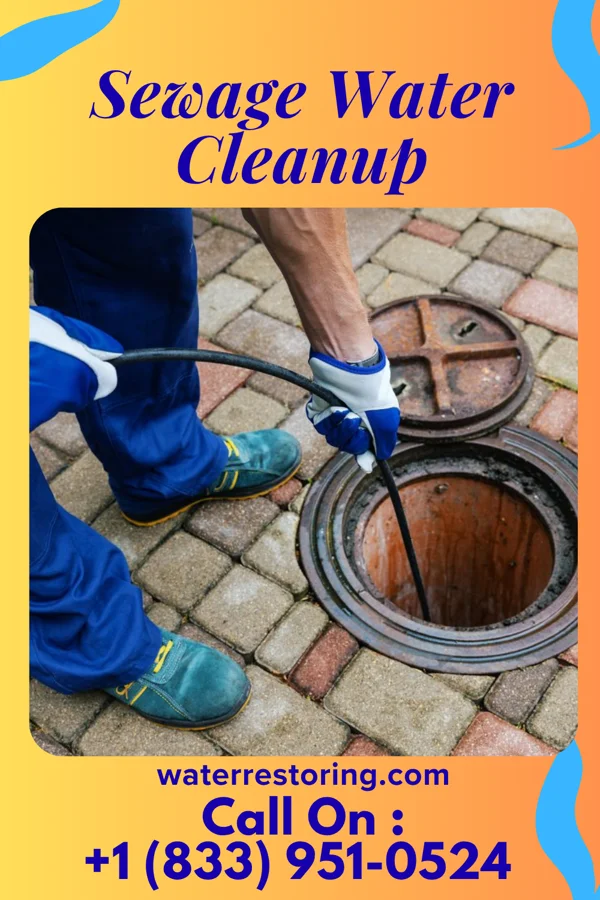 Sewage Water Cleanup in Herman, MN