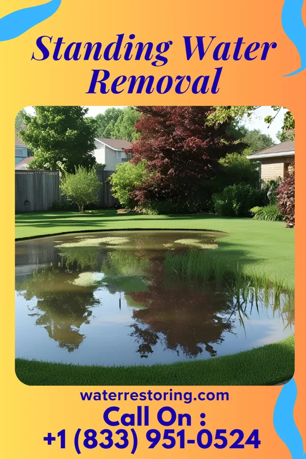 Standing Water Removal in Herman, MN